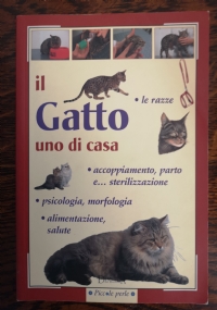 IL GATTO Tutti i perch� di 