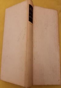 il salva stile, saper parlare, scrivere, vivere di 