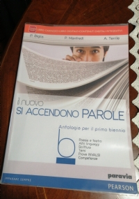 IL NUOVO SI ACCENDONO PAROLE di 