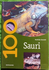 L� dove � nato il Soccorso Alpino di 