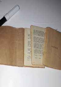 I DOLORI DEL GIOVINE WERTHER di W. GOETHE