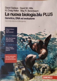 Plane Discere 2 di 