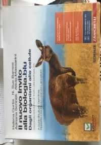 Il pi� bello dei mari Corso di scrittura di 