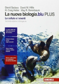 La storia in campo di 