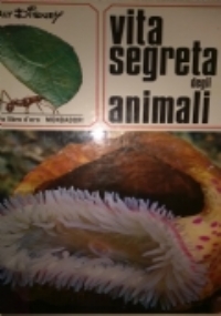 I CANARINI fringilla canaria			 di 