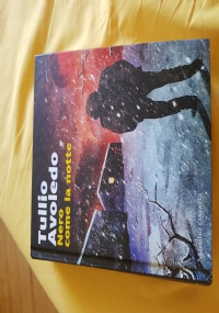 L&rsquo;ombra della solitudine di 