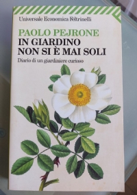 PNL con i bambini - Guida per i genitori: Tecniche, valori e comportamenti per accrescere sicurezza e fiducia nei vostri bambini di 