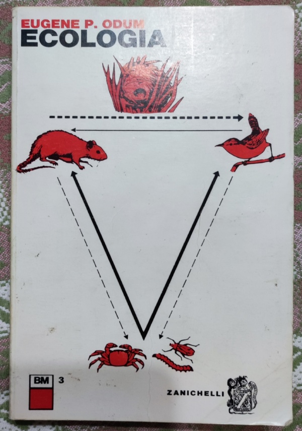 Rapporto Terra di 