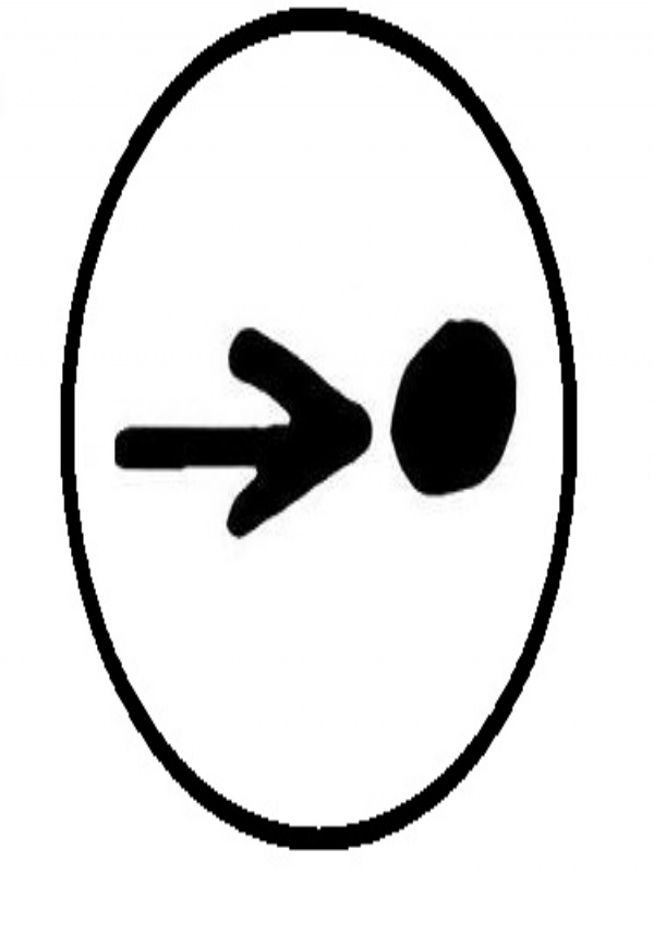 perch� guariremo di 