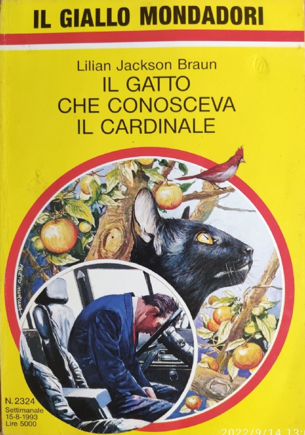 IL GATTO CHE VEDEVA ROSSO di 