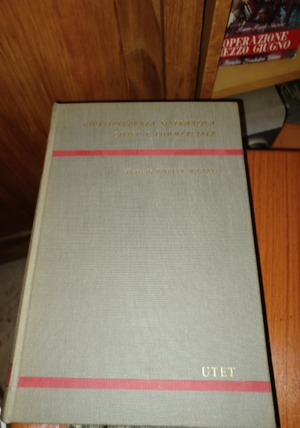 Stella d&rsquo;Italia. A piedi per ricucire il Paese di 