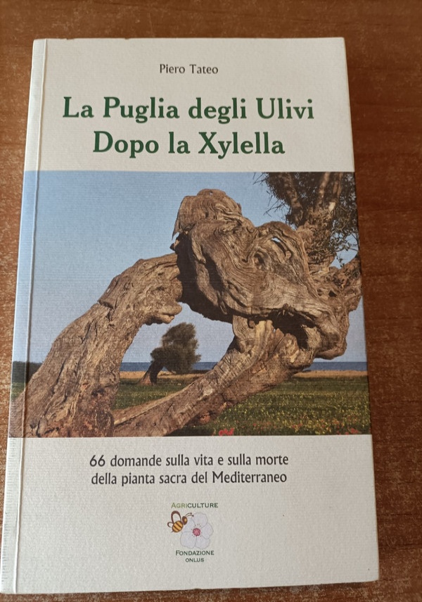 AL TEMPO DELL�AEROSTATICA 250 anni di audaci imprese, dai pionieri ad oggi (aeronautica) di 