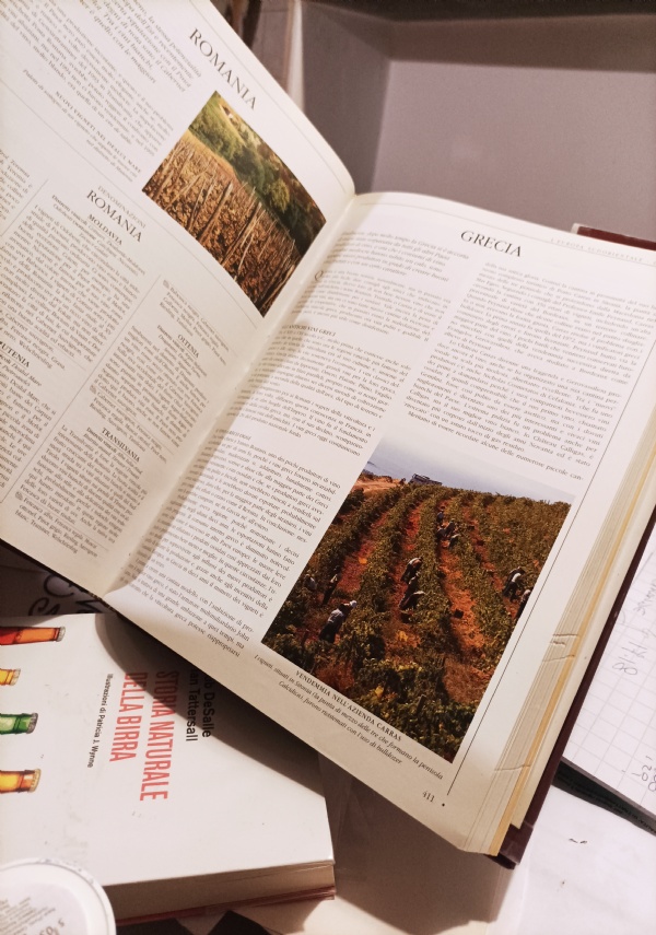 PRIMO INCONTRO INTERCONTINENTALE PER L�UMANIT� E CONTRO IL NEOLIBERISMO di 