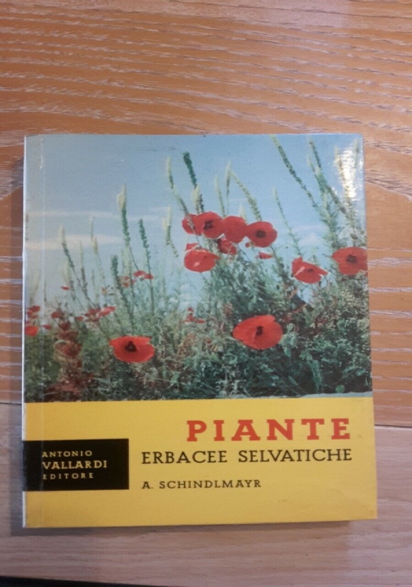 Tutto su la letteratura italiana di 