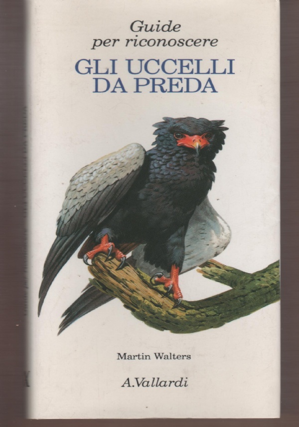 Le novelle di Simonetta di 