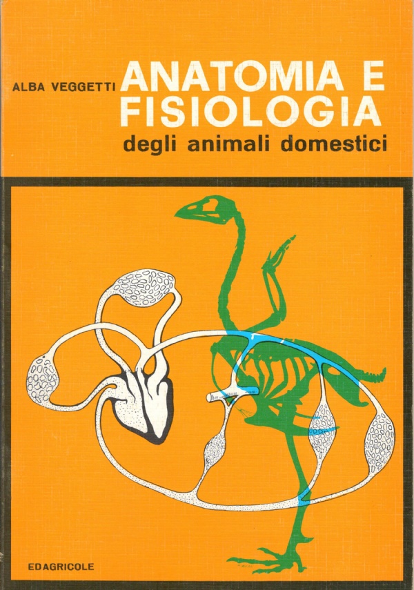 I funghi di 