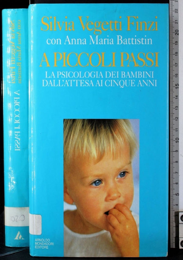 IL VIAGGIO DELL&rsquo;ELEFANTE di 