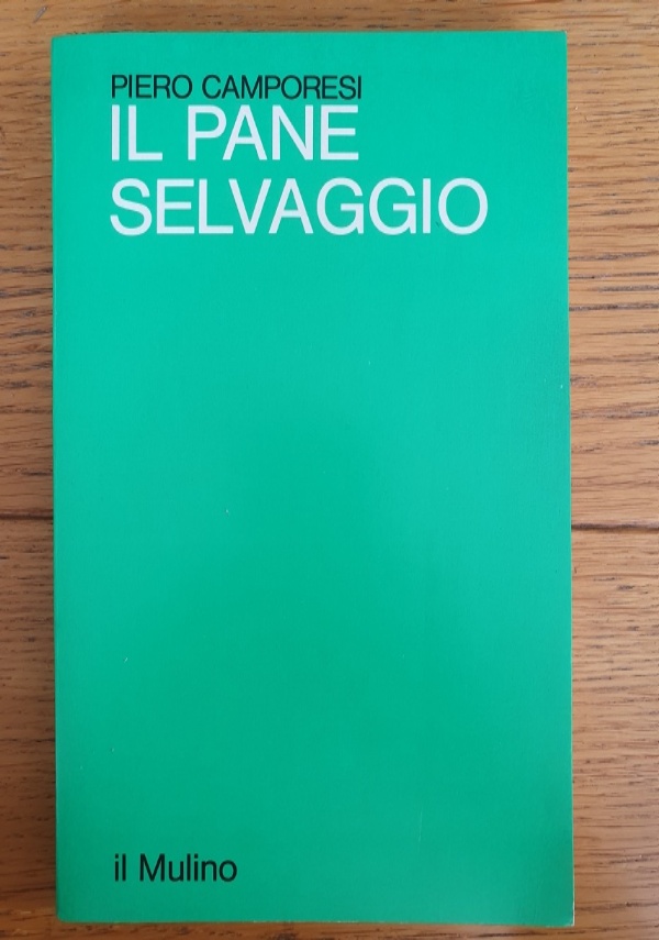 Note su Stalin e il socialismo sovietico di 