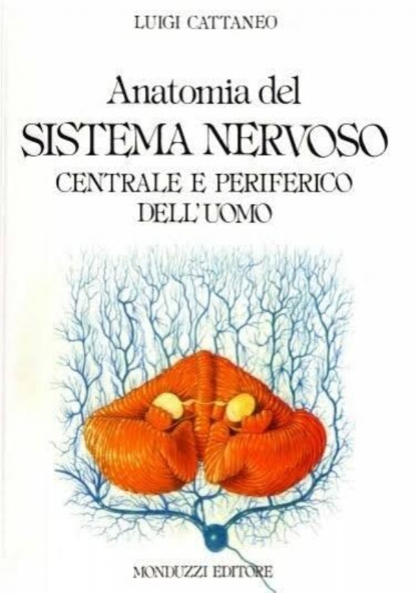 Atlante di neuroscienze di Netter-Neuroscienze. Esplorando il cervello di 
