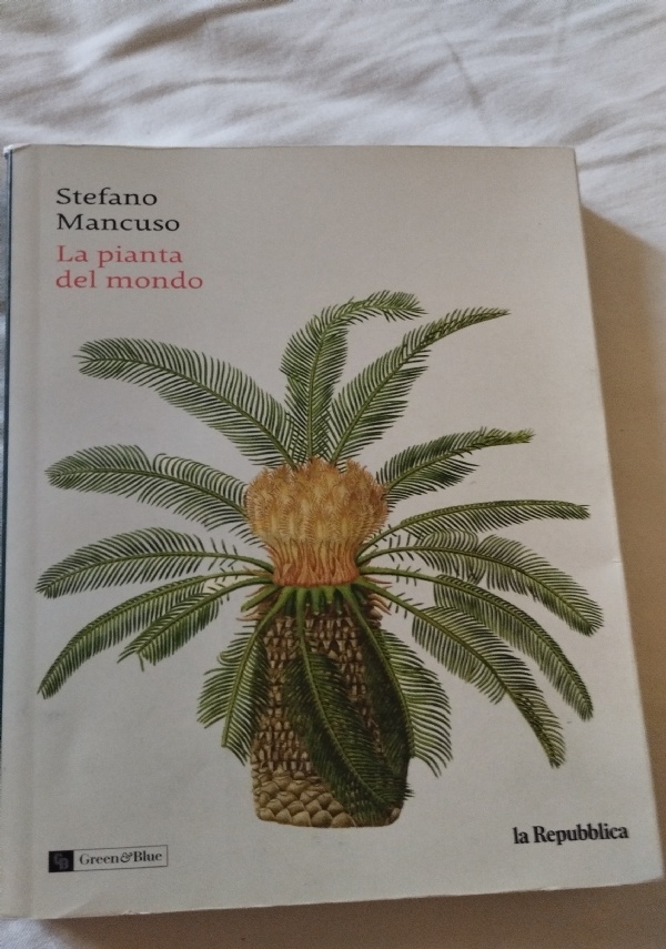 l albero dai fiori bianchi di 