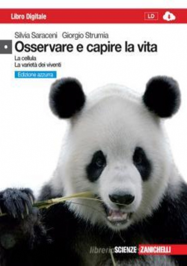 Millennium focus. Verso l&rsquo;esame-CLIL. Per le Scuole superiori. Con e-book. Con espansione online vol.3 di 