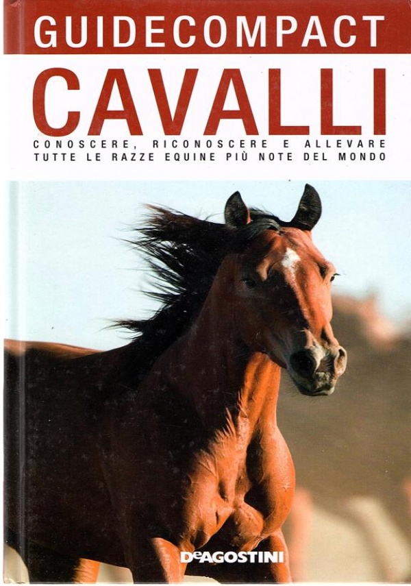 Le paure del cavallo e del cavaliere di 