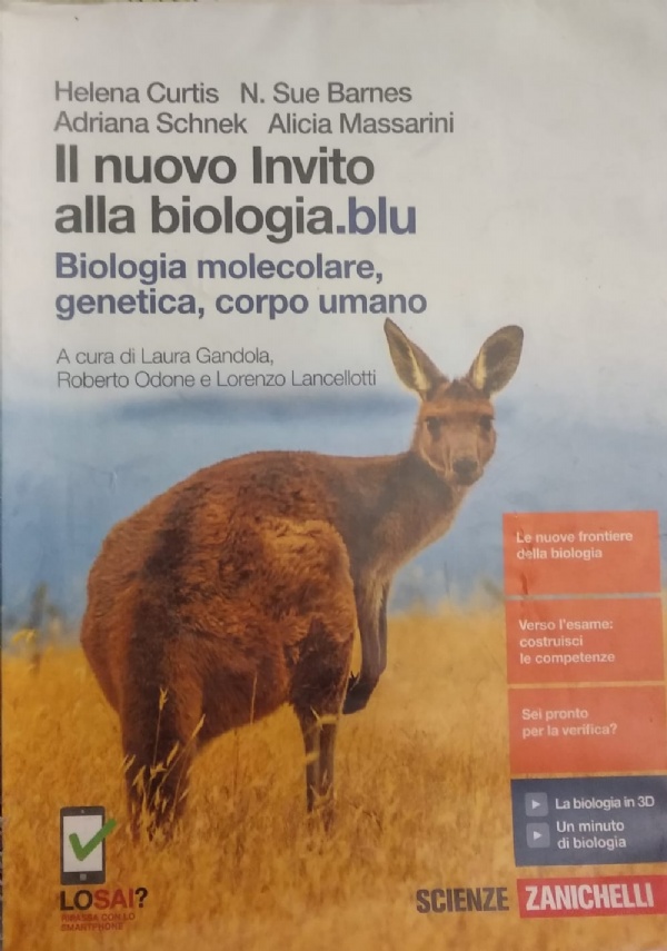 Arteologia 4 di 