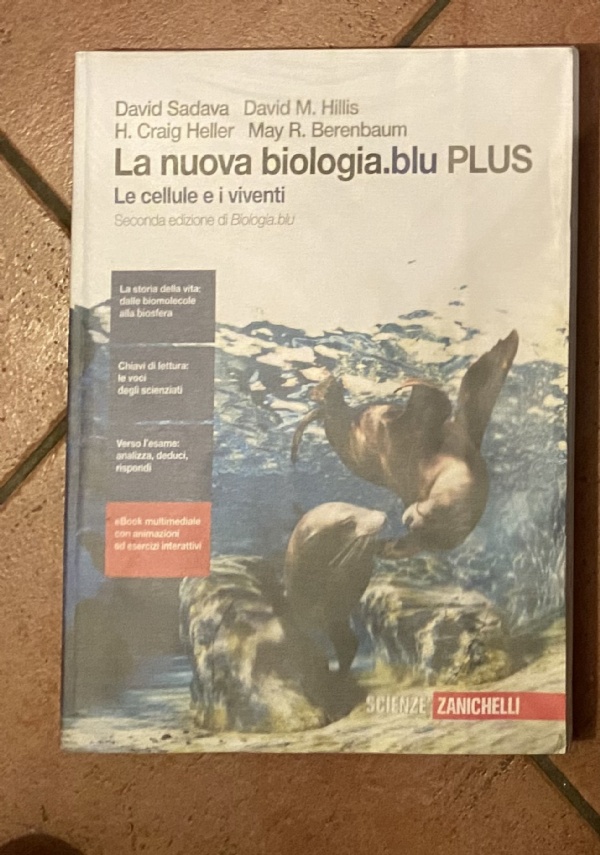 Qualcosa che sorprende 2 di 