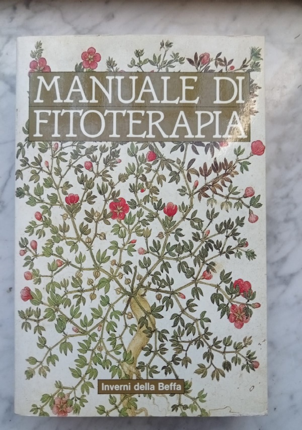 Il menab� 1 - Il calzolaio di Vigevano; La ragione dialettale; Pace a El Alamein; Letteratura di guerra; Parlato e metafora di 