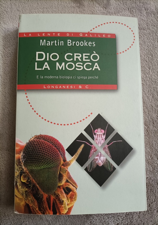 Il veliero sul tetto di 