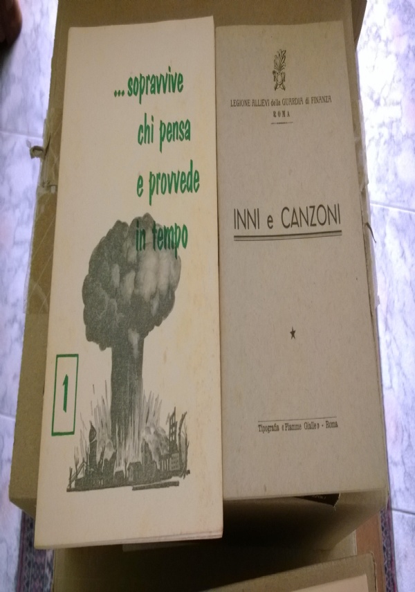 ... Sopravvive chi pensa e provvede in tempo di 