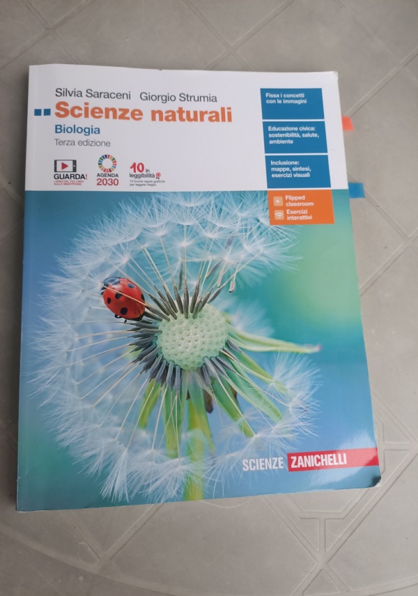 Res publica di 