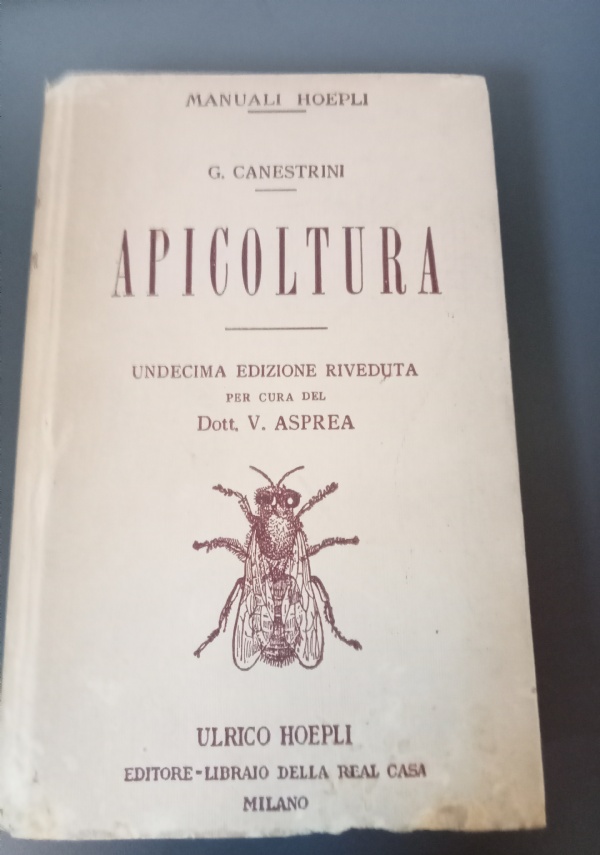 Il Decamerone di 