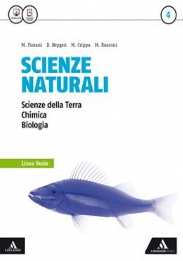 New grammar files. English grammar and vocabulary elementary (A2) to upper-intermediate (B2). Ediz. per la scuola. Con e-book. Con espansione online. Con DVD-ROM di 