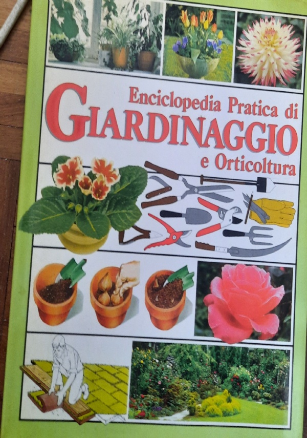 Costruire fontane laghetti e specchi d&rsquo;acqua di 