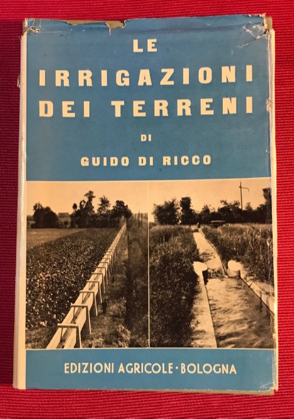 PERIPLO D&rsquo;AFRICA di 