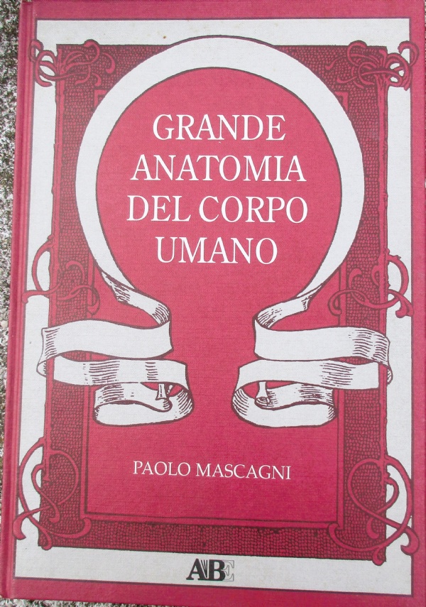 CACCIATORI DI SQUALI di 