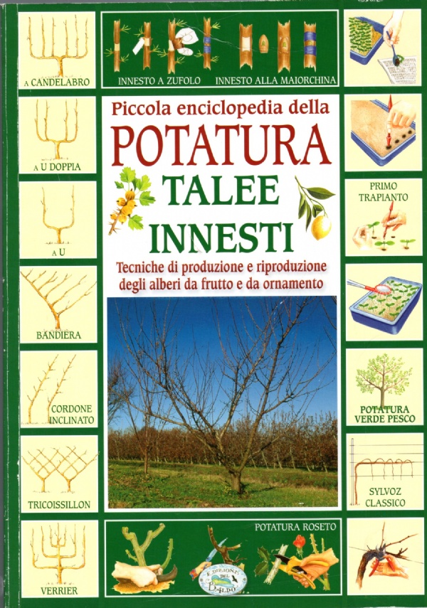 Diario delle lezioni (scuole elementari) di 