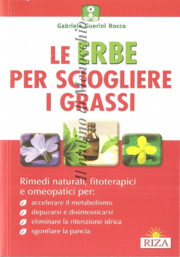 Gli alimenti super dimagranti di 