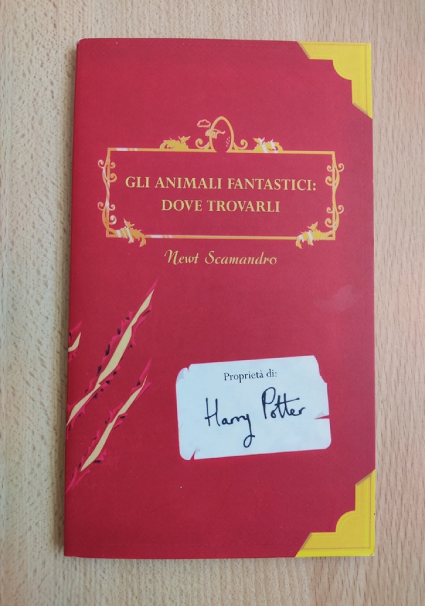 Harry Potter cofanetto Brian Selznick di 