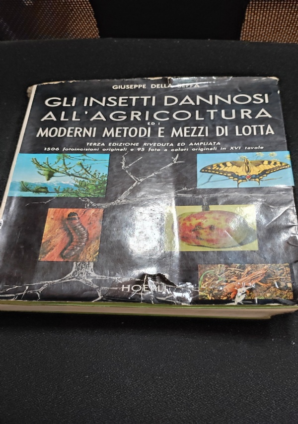 DIRITTO 3�Anno di 