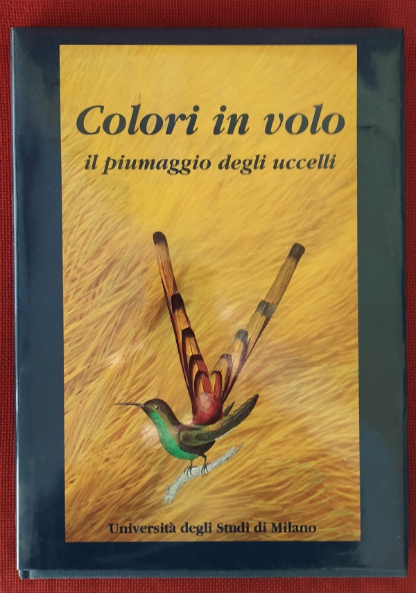 Il grande libro degli enigmi. Giochi logici, rompicapi e indovinelli di 