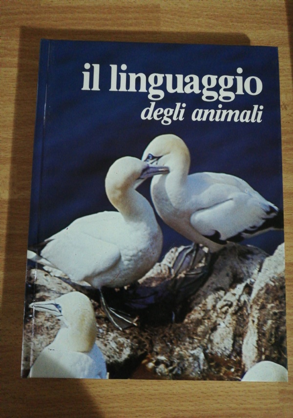 La vita sociale degli animali di 