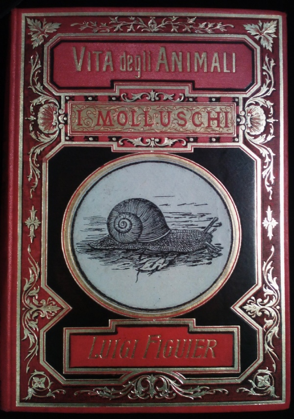 Metodo sicuro per distruggere i succiameli con alcune riflessioni d�agricoltura di 