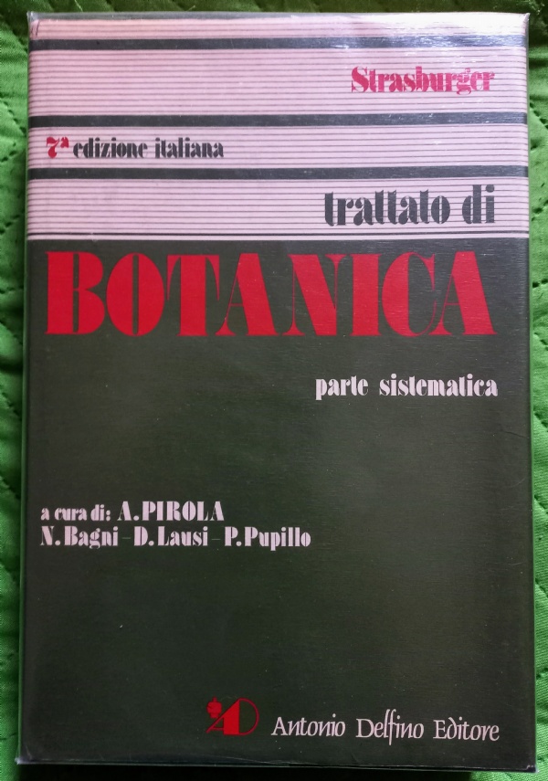 La natura morta storia, artisti, opere di 