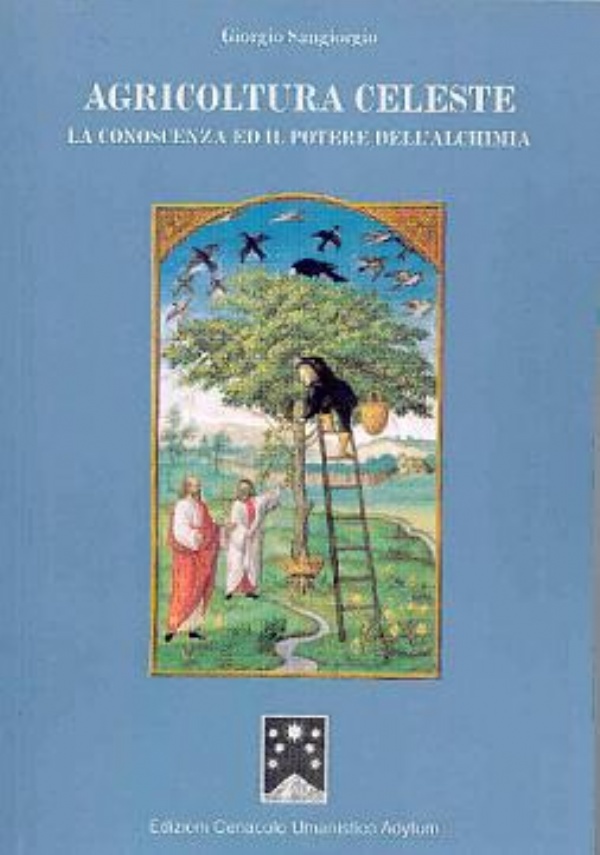 AIRCRAFT GLI AEREI DELLA GUERRA LAMPO 1936- 1939 di 