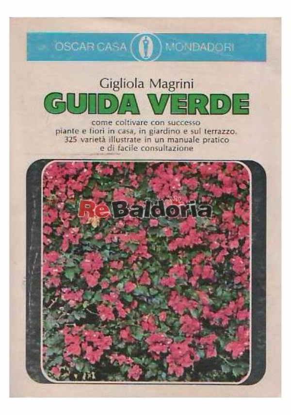 La Sacra Bibbia. L&rsquo;Antico e il Nuovo Testamento di 