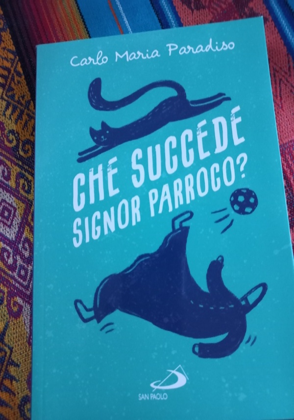 IL SOGNO DEL RINNEGATO La saga di AMNIA volume 1 di 