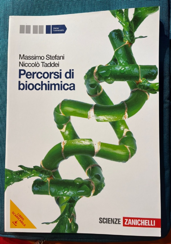 IN MOVIMENTO di 