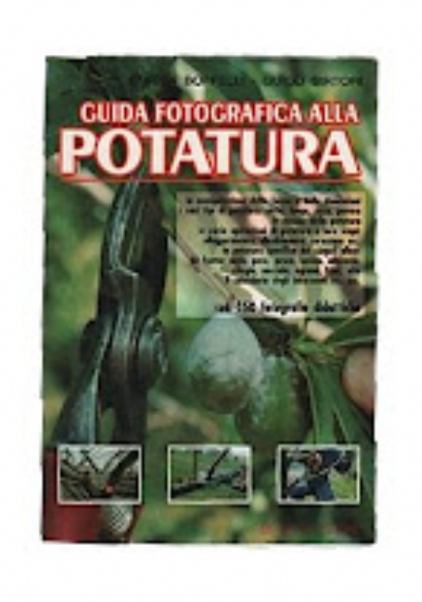 Monsieur de La Salle  Una fedelt� che vive di 